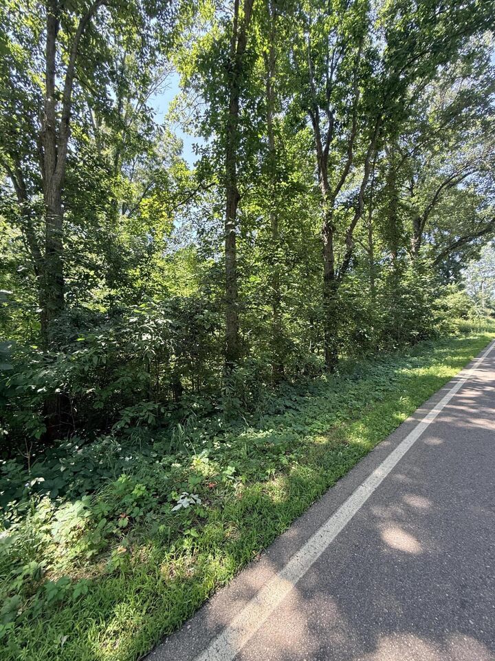 Property Photo:  V/L McCain Road  MI 49269 