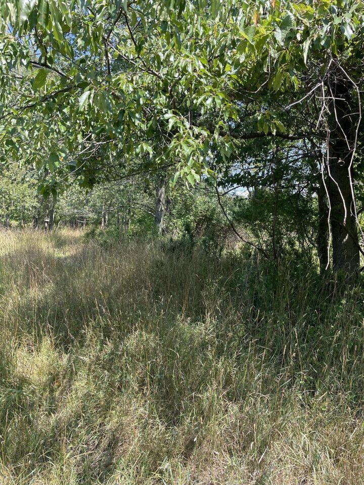 Property Photo: 6893 Wiley Road MI 49408