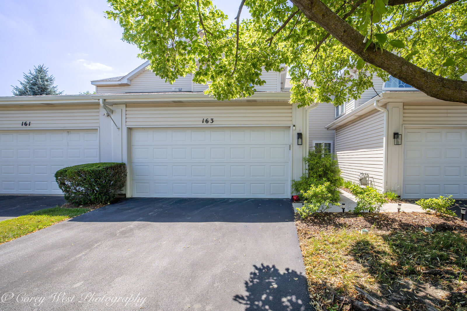 Property Photo:  163 N Barton Trail  IL 60510 