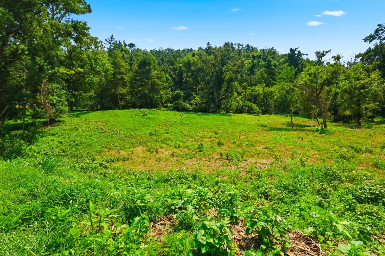 Property Photo:  1045 Balmoral Dr  TN 37220 
