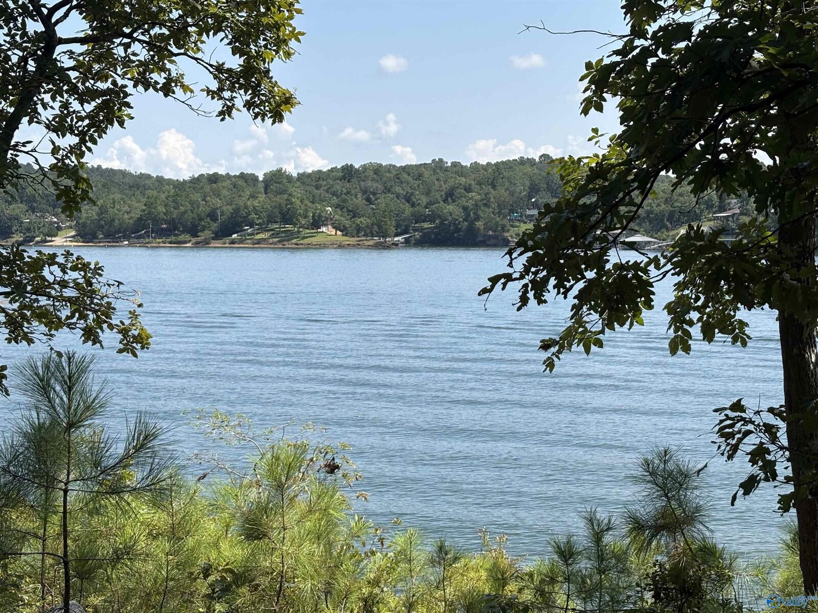 Property Photo:  41 Acres Big Bear Branch Road  AL 35553 
