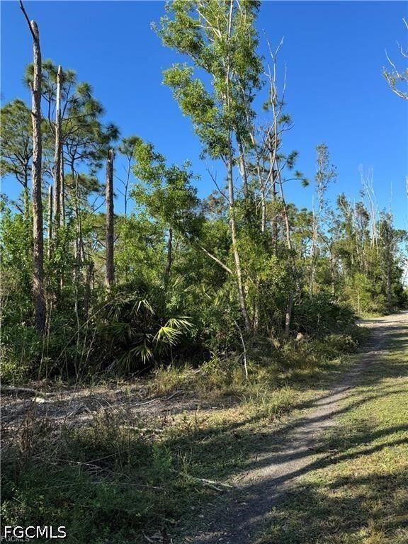Property Photo: Guava Avenue FL 33922