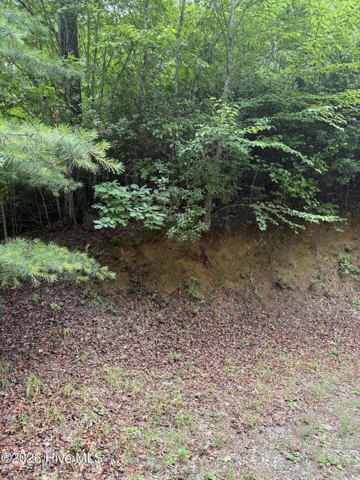 Property Photo:  Lot 3 3 Mountain Vista Lane  NC 28781 