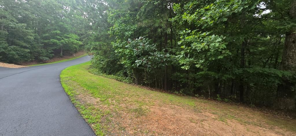 Property Photo:  Lot 9 Harris Creek Drive  GA 30540 