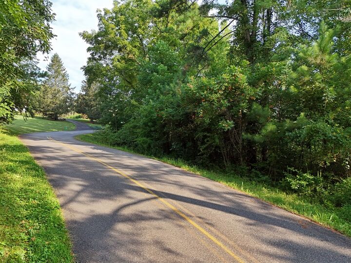 Property Photo:  Lot 4 Butterfly Lane  GA 30512 