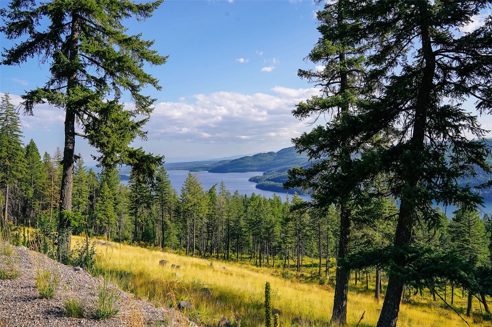 Property Photo:  69 Eagle Creek Trail  MT 59937 