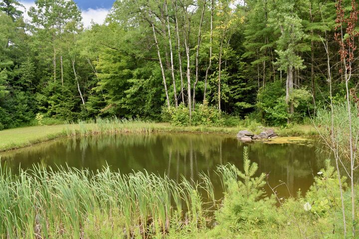 Property Photo:  170 Lyman Drive  VT 05495 