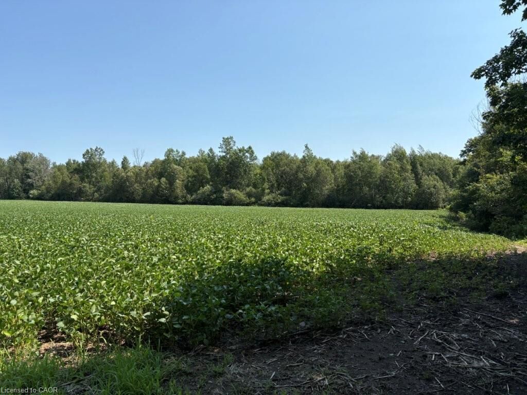 Property Photo:  1194 Concession 14 W  ON N0G 2S0 