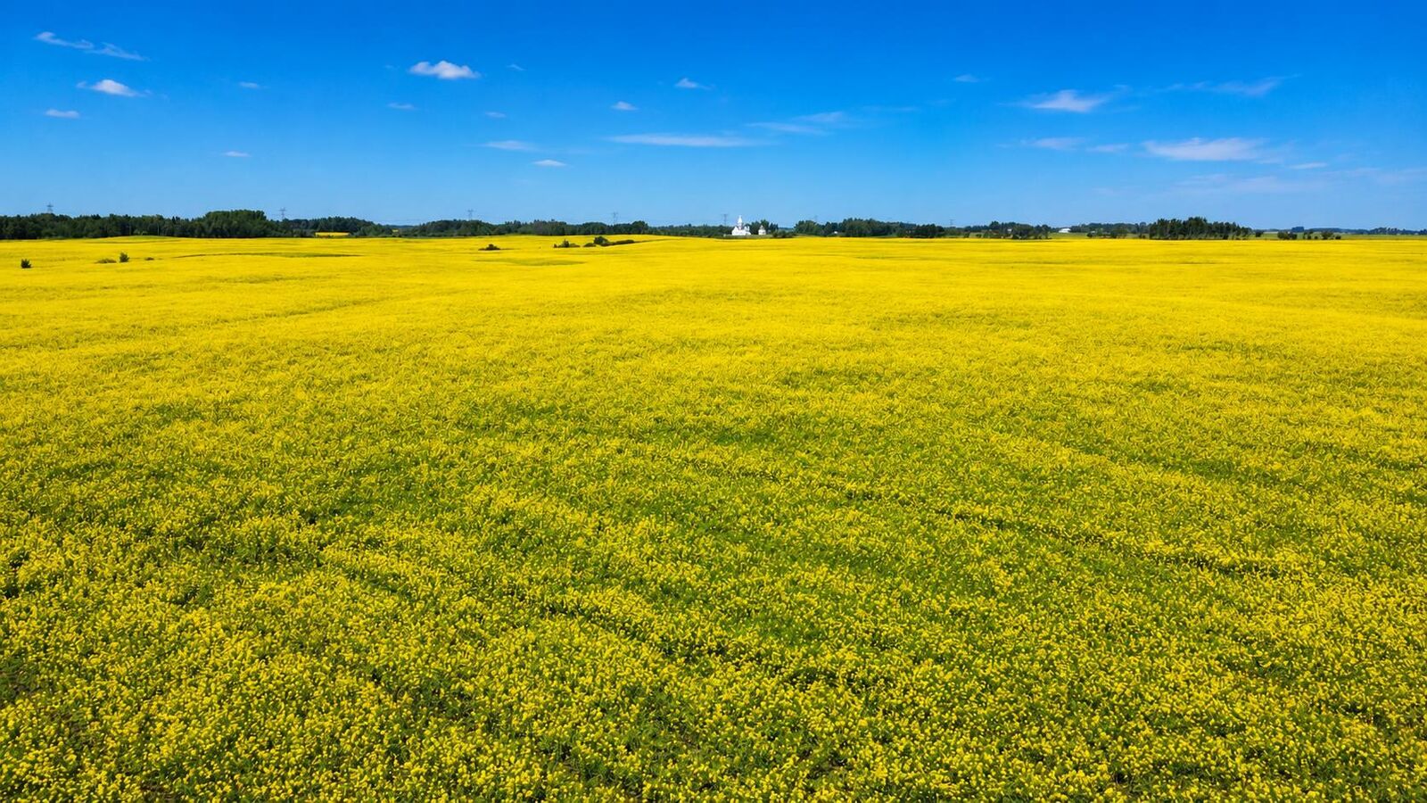 Property Photo: Mundare 160 Acres AB T0B 3H0