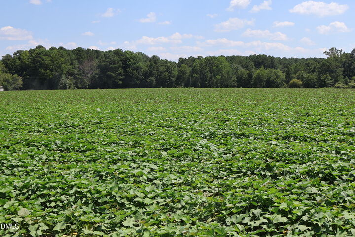 Property Photo:  1 Holly Grove Road  NC 27504 