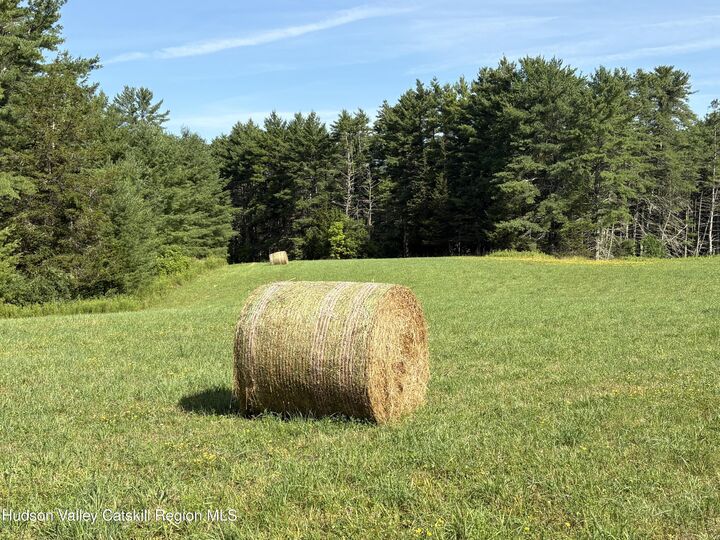 Property Photo:  379 Stryker  NY 12076 