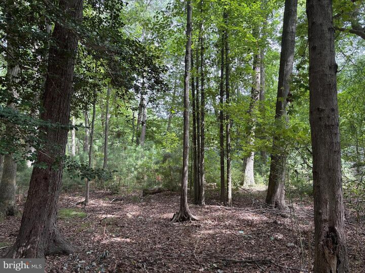 Property Photo:  0 Shady Dell Park  DE 19970 