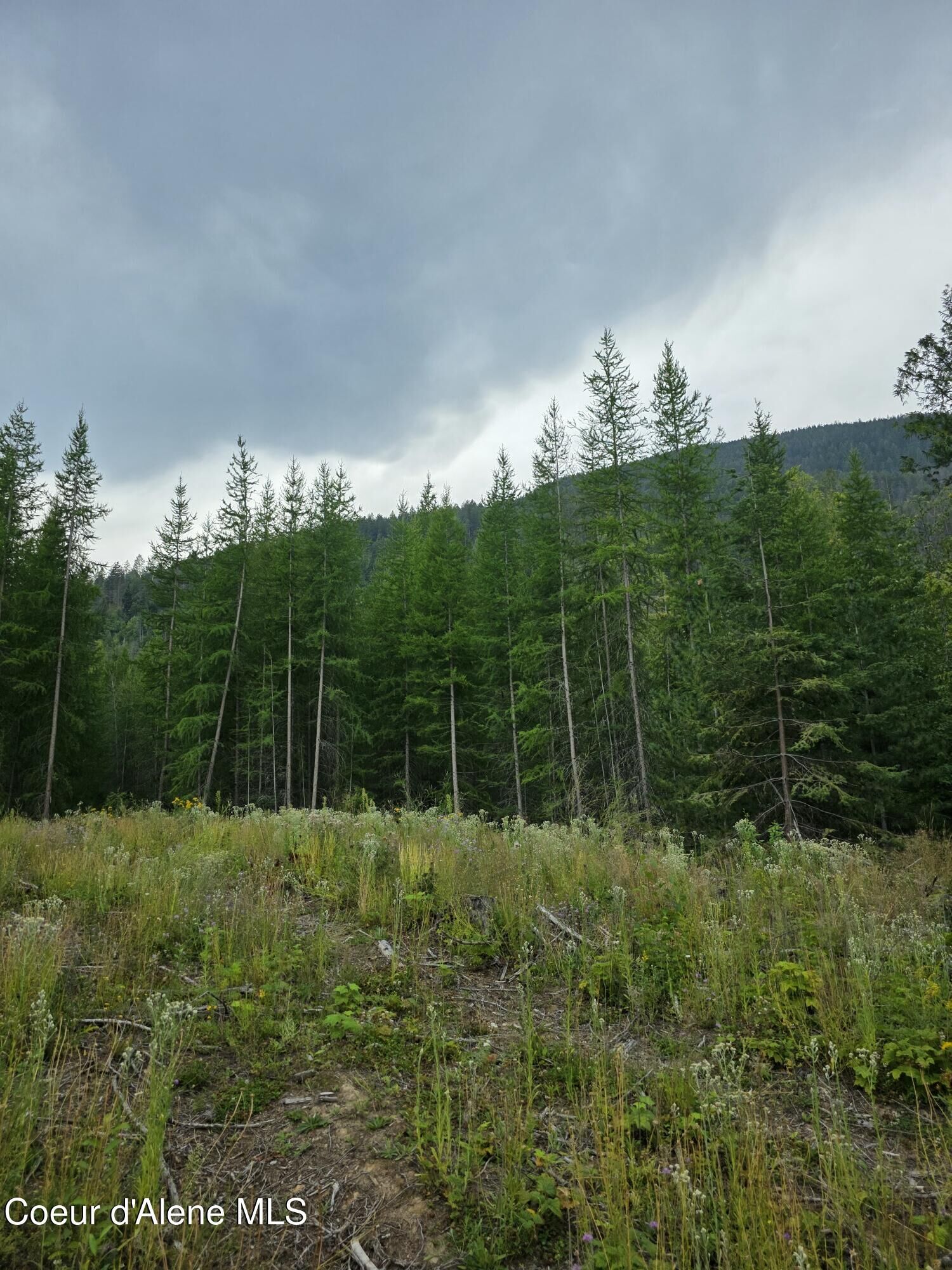 Property Photo:  Nna Westside Rd Parcel10  ID 83805 