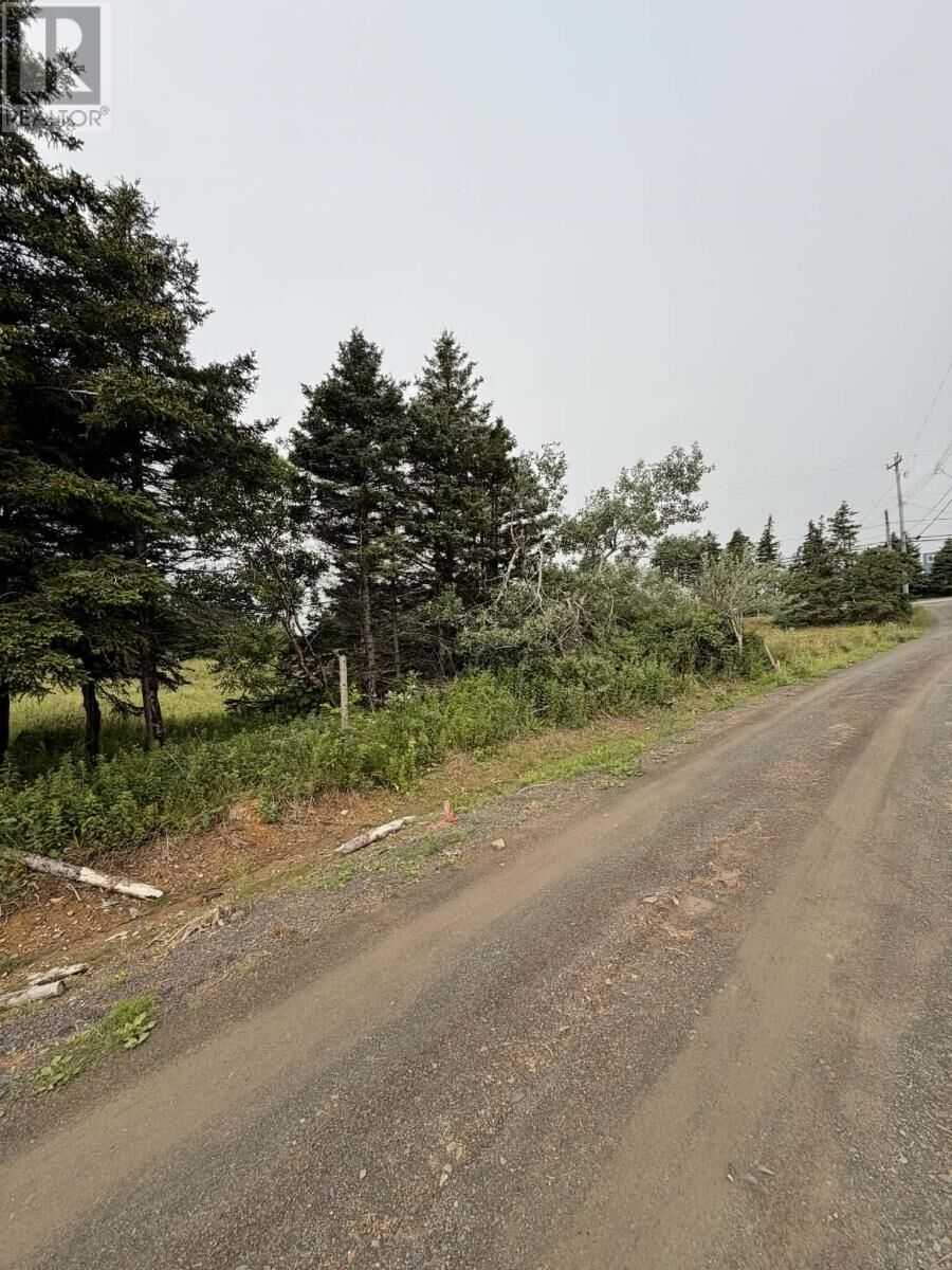 Property Photo:  4-6 Lahey's Lane  NL A0A 1H0 