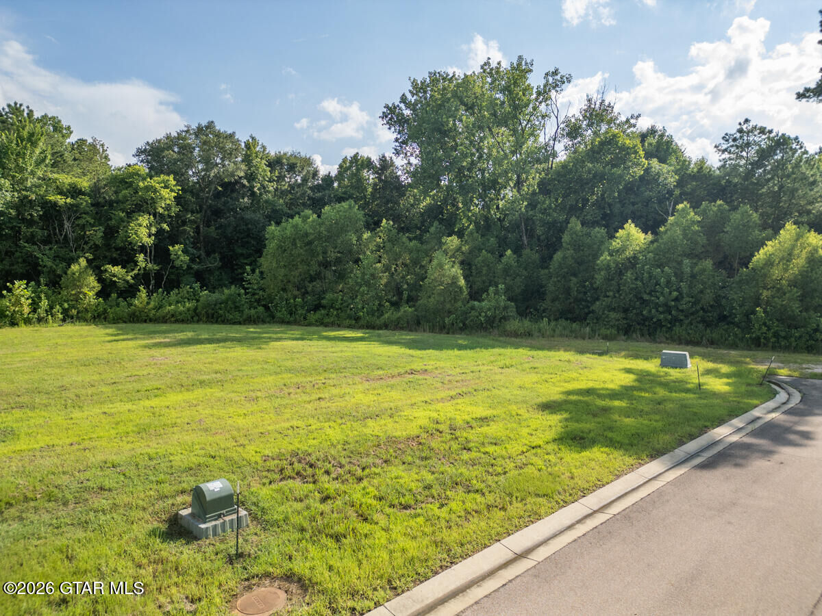 Property Photo: 221 Huxley Drive MS 39759