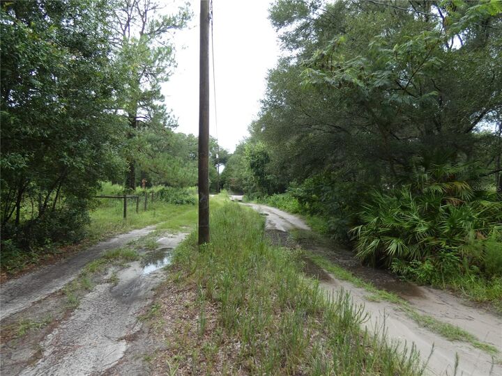 Property Photo: Tbd SW 151 St Pl FL 34432