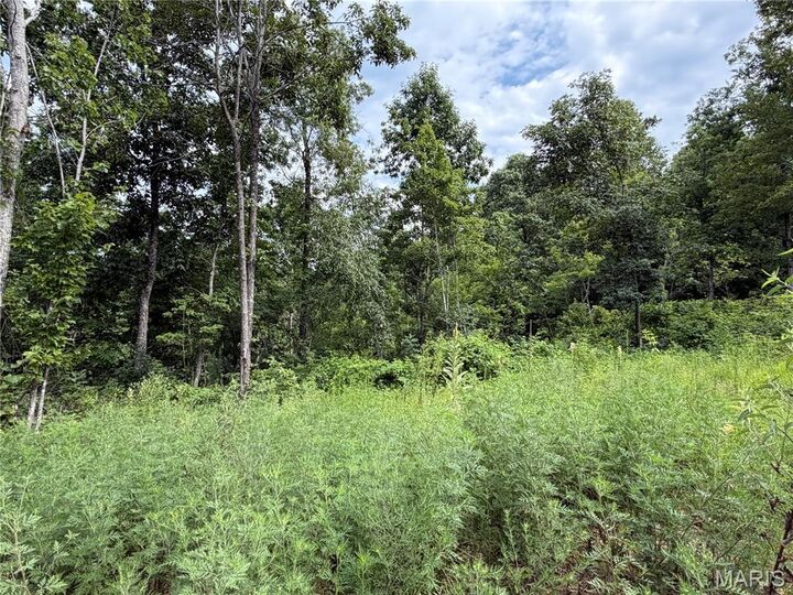 Property Photo:  #401 Madison 410  MO 63645 