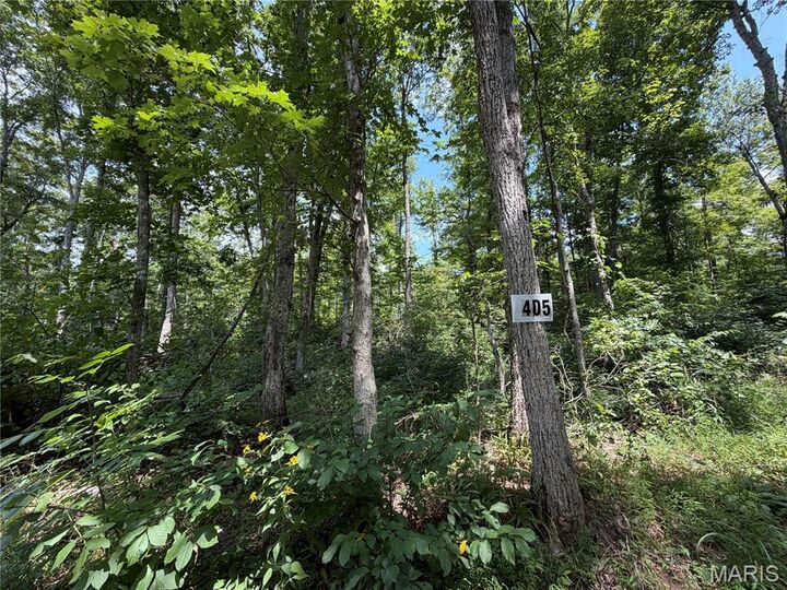 Property Photo: #405 Madison 410 MO 63645
