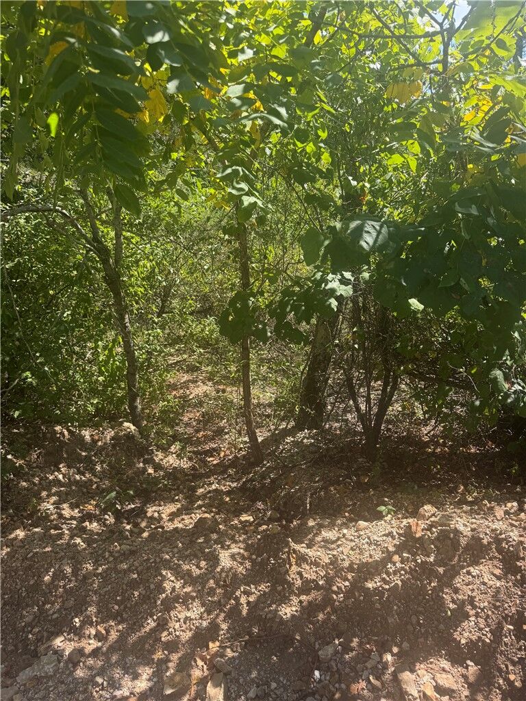 Property Photo:  Tbd (Lot 25) Cardinal Lane  AR 72644 