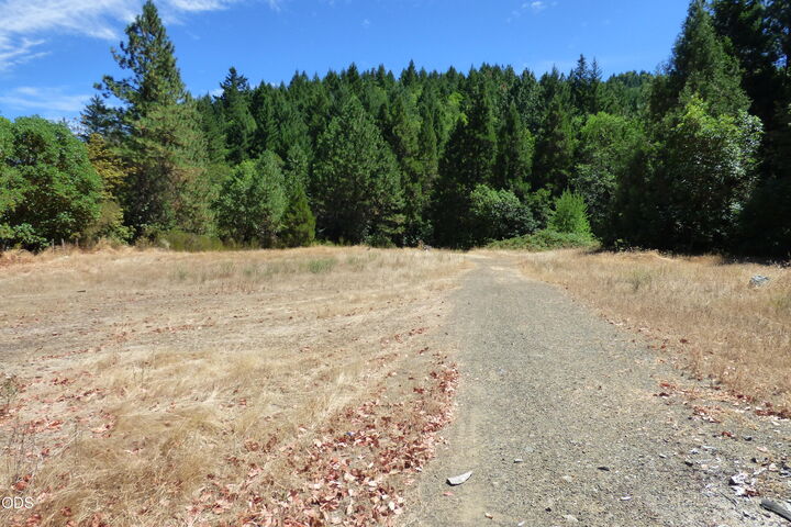 Property Photo: 458 Sunny Valley Loop OR 97497
