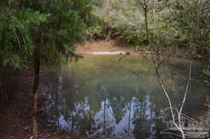 Property Photo:  0001 Pat Brown Rd  FL 32570 