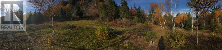 Property Photo:  12 Summerville Heights  NL A5A 1X9 
