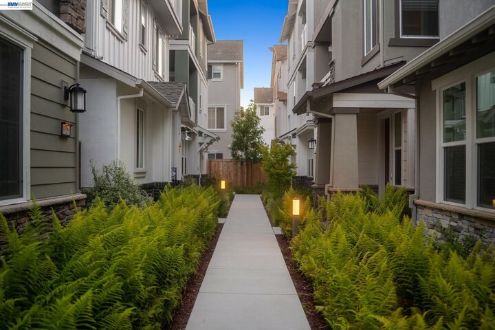 Property Photo:  37231 Sand Bar Pl  CA 94560 