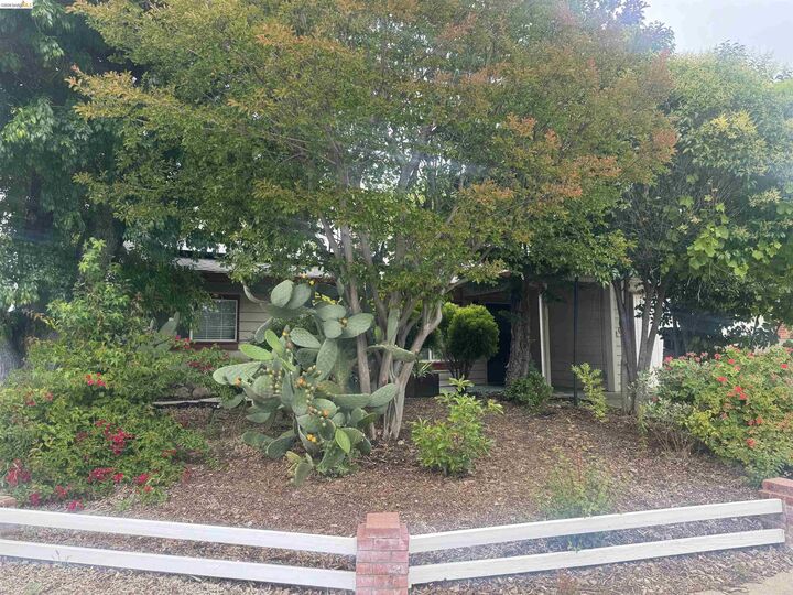 Property Photo: 2029 Highland Dr CA 94520