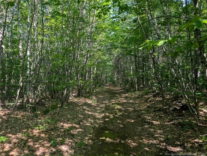 Property Photo:  Wood Lot Green Road  NB E4Z 1T6 