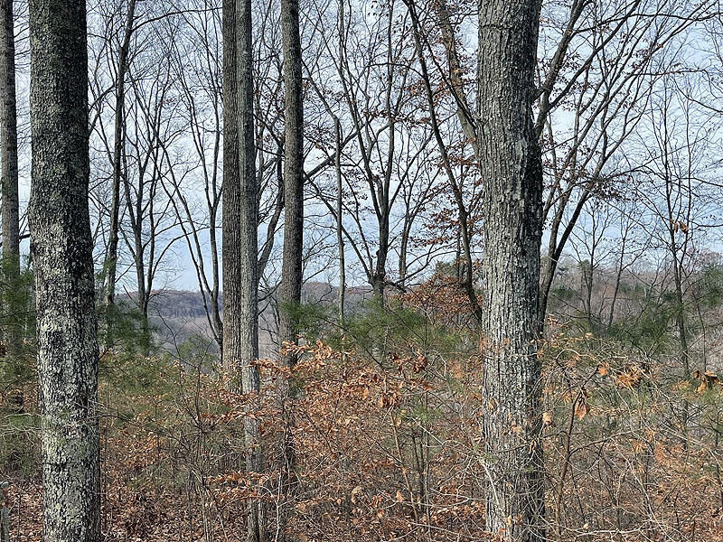 Property Photo:  Lot 84 Stillwater  KY 42642 