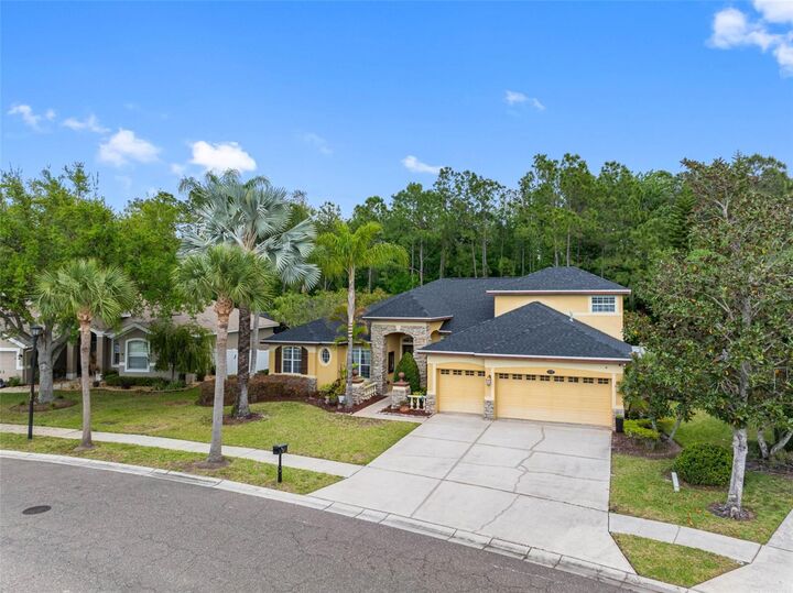 Property Photo: 16750 Ivy Lake Drive FL 33556