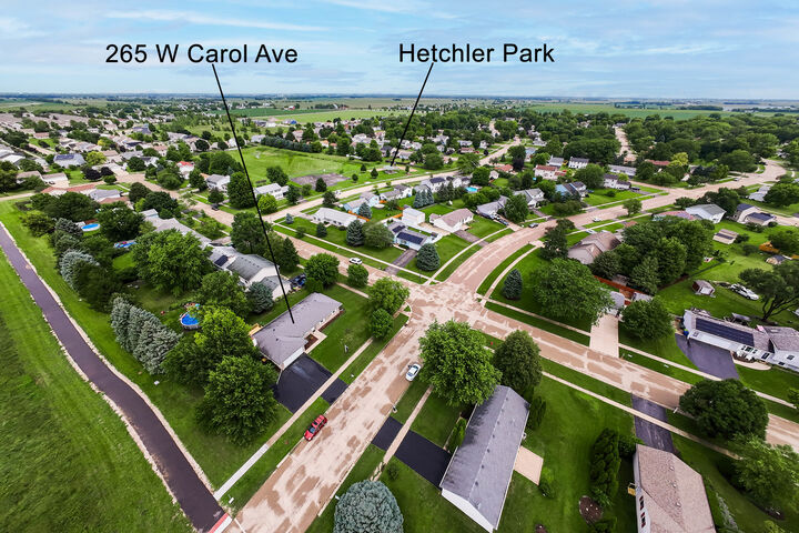 Property Photo:  265 W Carol Avenue  IL 60112 