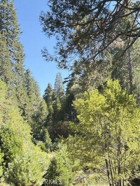 Property Photo:  27263 State Highway 189  CA 92317 