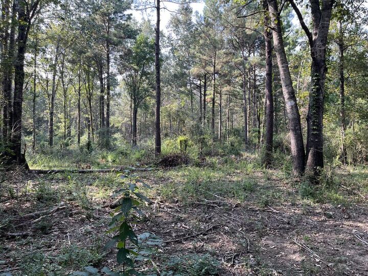 Property Photo:  16328 US Hwy 69 S  TX 75949 