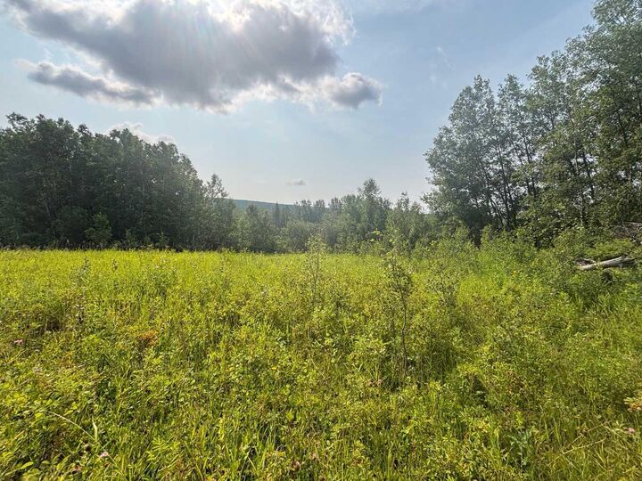 Property Photo:  Range Road 224A  AB T0G 0R0 