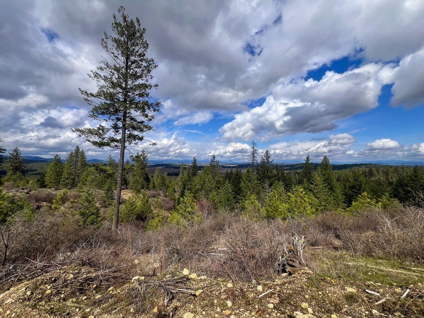 Property Photo:  52xx Lot 8 Swenson Rd  WA 99006 
