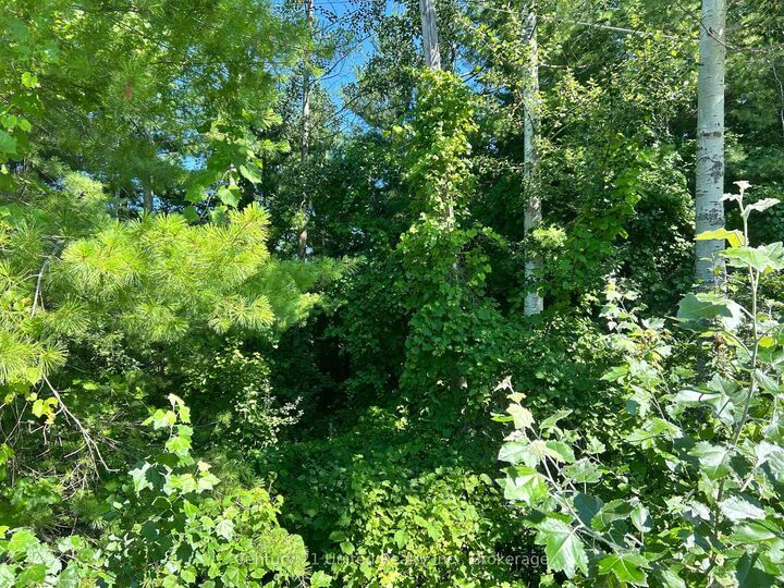 Property Photo:  0 Concession Rd 4 N/A W  ON K0K 3K0 