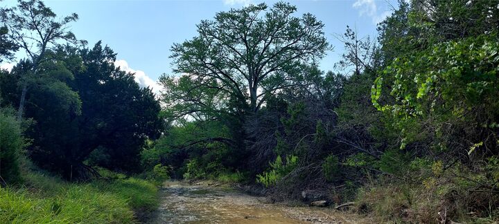 Property Photo: 00000 Brinkley Drive TX 78676