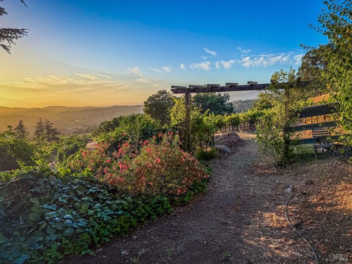 Property Photo:  6006 Wild Horse Valley Road  CA 94558 