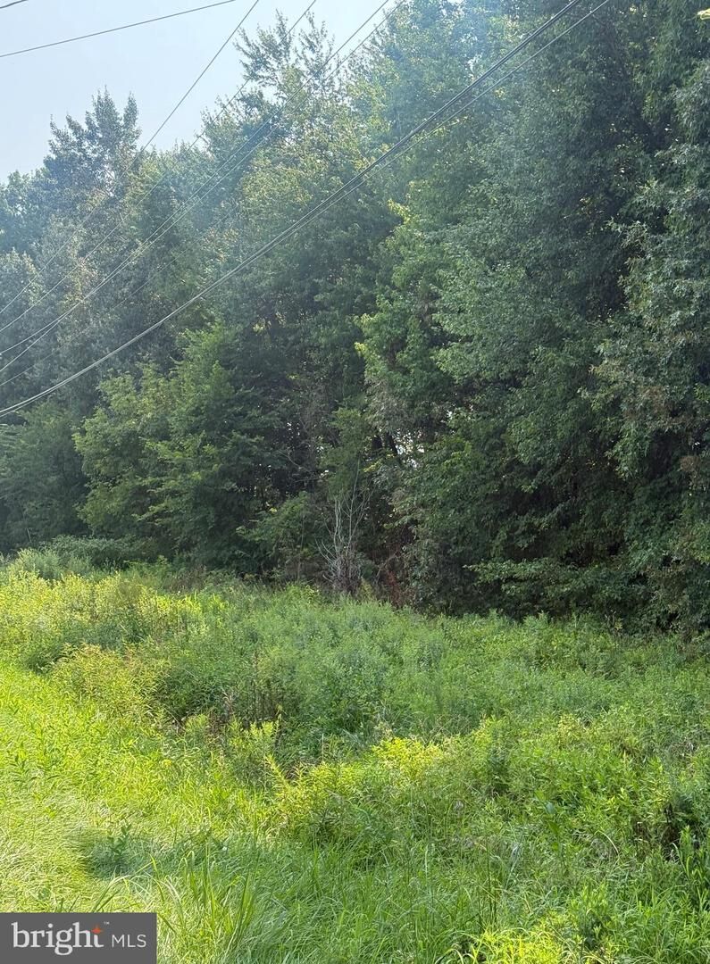 Property Photo: Parcel 38 Goldsboro Road MD 21607