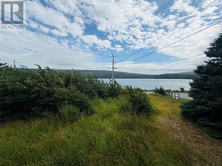 Property Photo:  126 Harbour Drive  NL A0B 1S0 