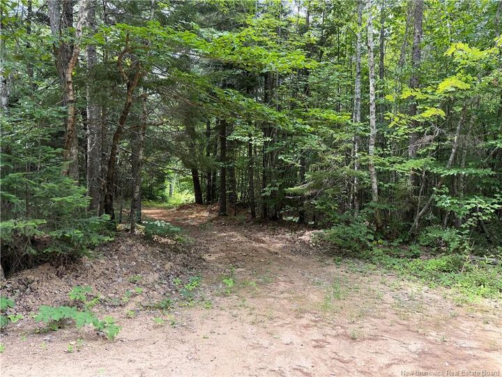 Property Photo:  876 Green Road  NB E4Z 1V5 