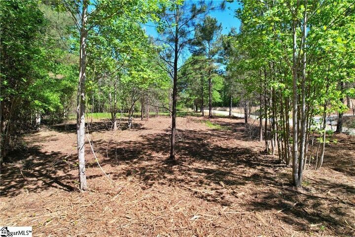 Property Photo: Lot 134 McAlister Road SC 29696-0000