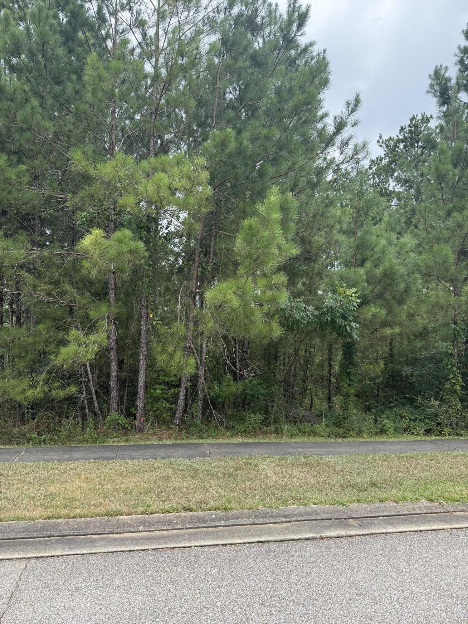 Property Photo:  42 S Of Fields  MS 39402 