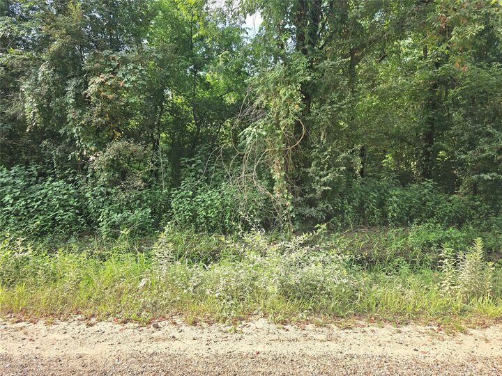 Property Photo: 00 County Road 2500 TX 77575