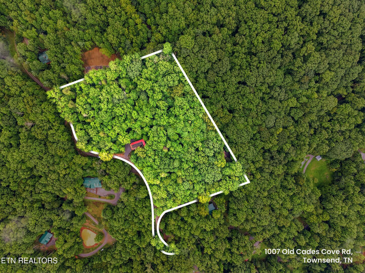 Property Photo: 1007 Old Cades Cove Rd TN 37882