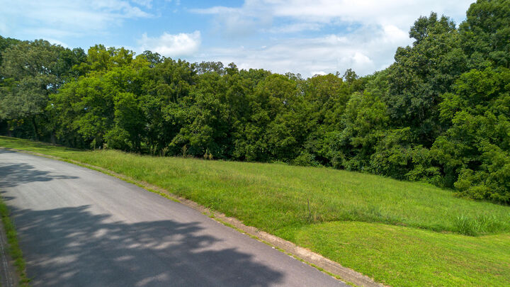 Property Photo: Lot 20 Meadowcrest Lane TN 37725