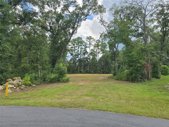 Property Photo:  1003 SW 175th Court  FL 32669 
