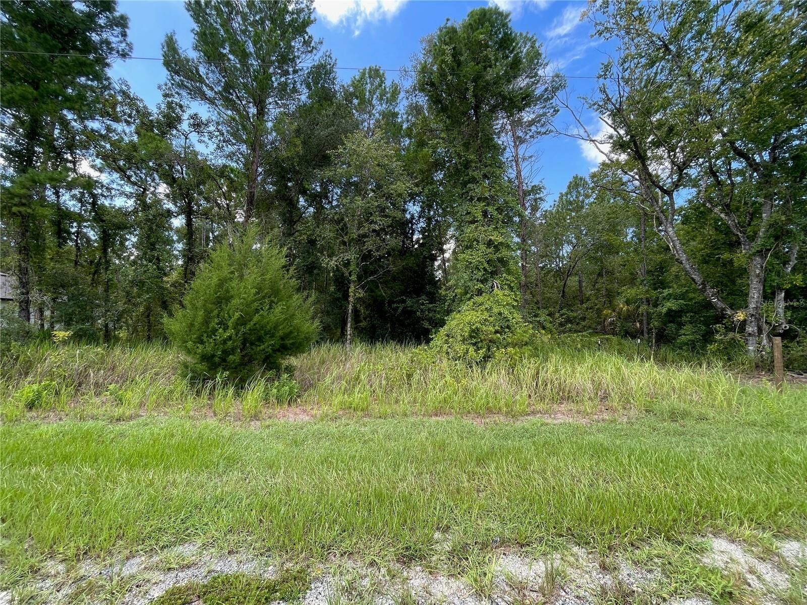 Property Photo: 0 Thrasher Avenue FL 34614