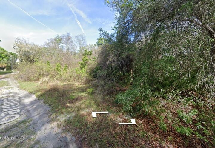 Property Photo: 0 NE 437th Ave FL 32680